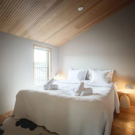 North - Joiku - Kajo